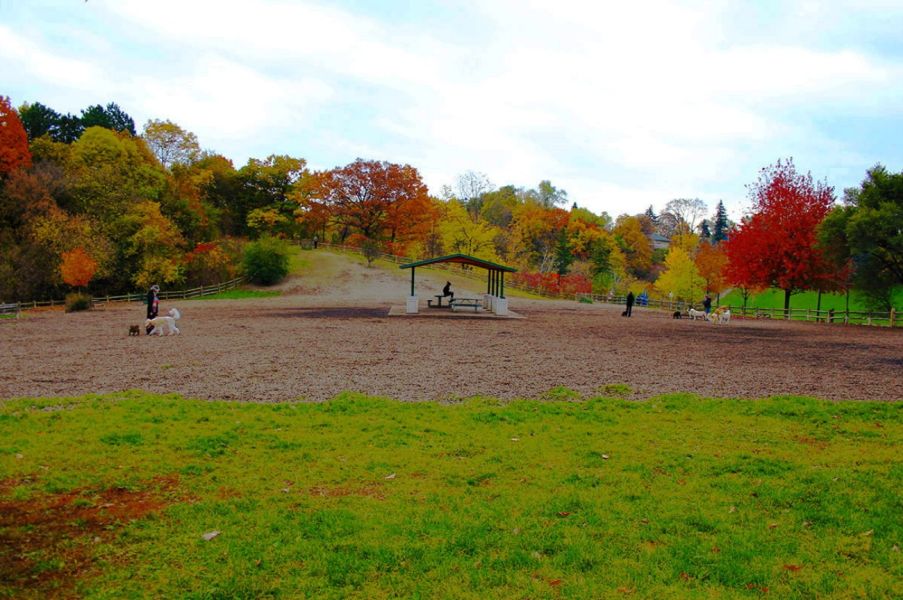 Photo of Cedarvale Park