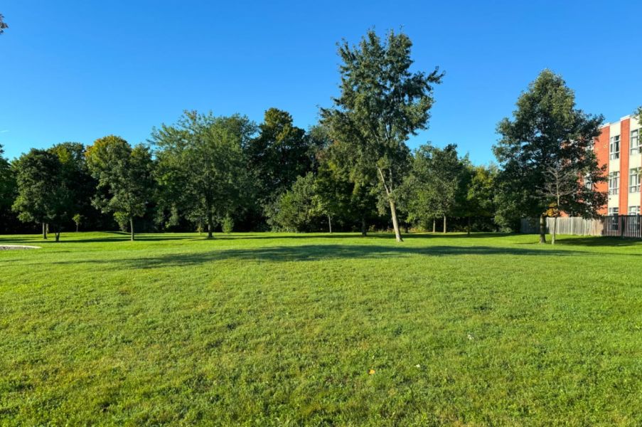 Photo of Finch - Humberline