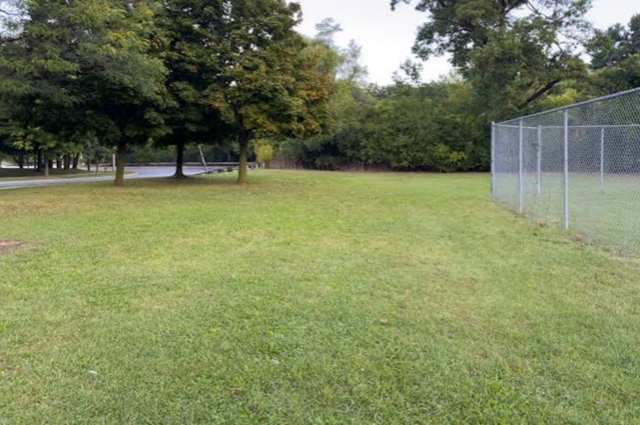 Photo of Moatfield Farm Park