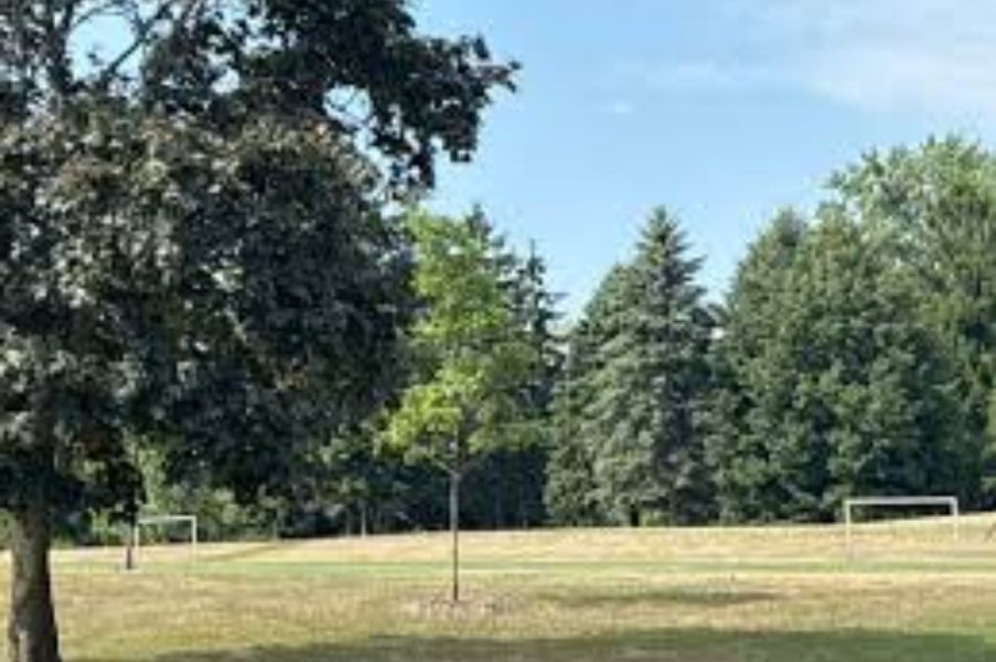 Photo of Wanita Park