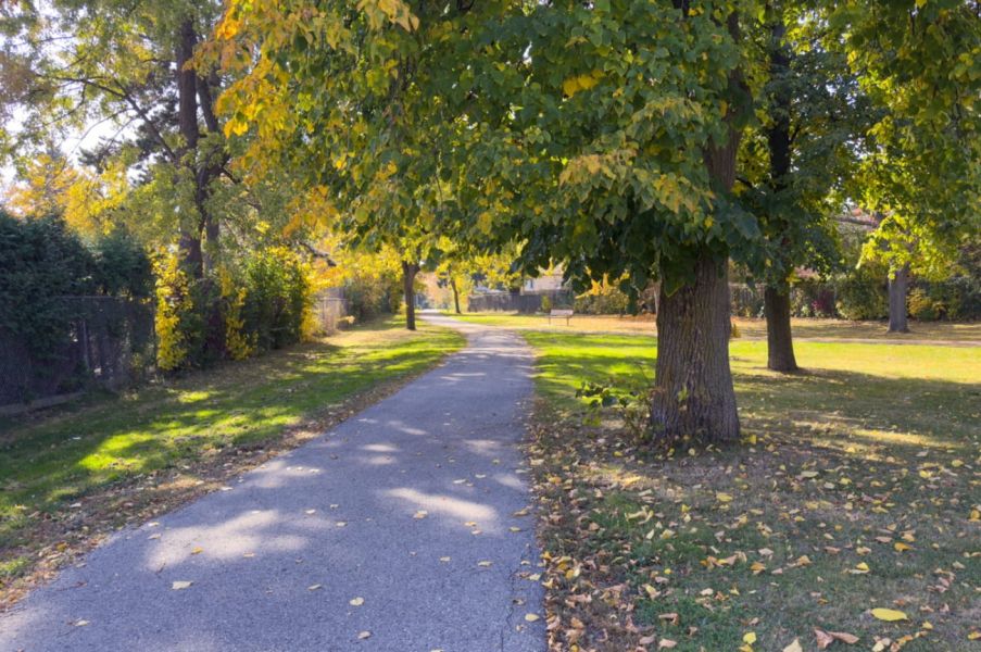 Photo of Godstone Park