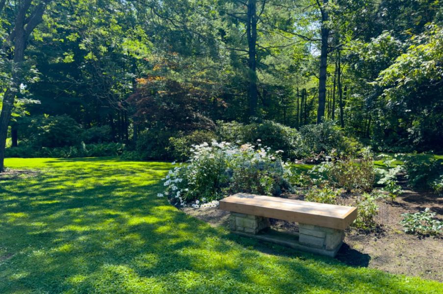 Photo of Humber Arboretum