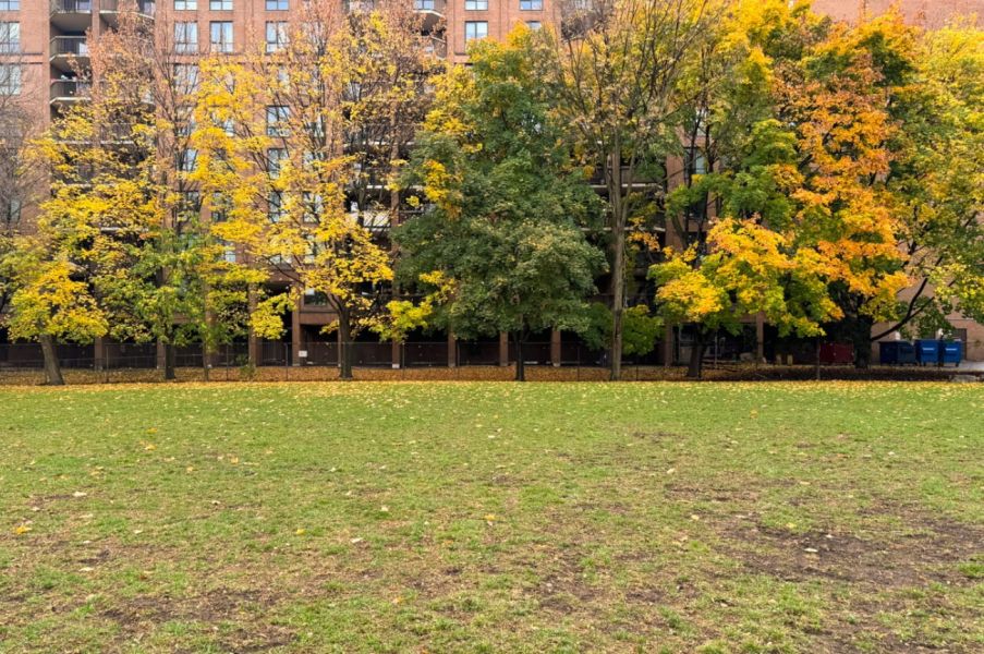 Photo of Parliament Square Park
