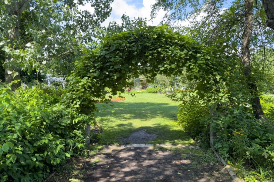 Photo of Humber Arboretum