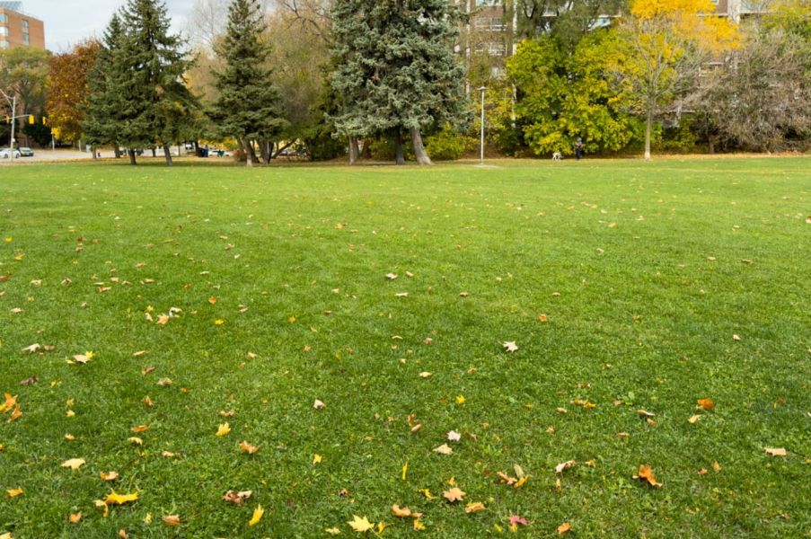 Photo of Memorial Park