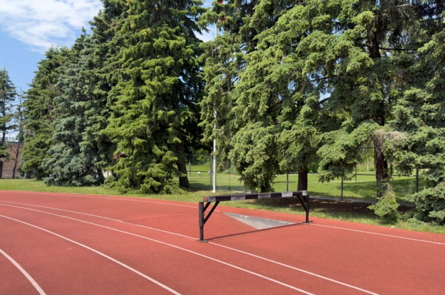 Photo of Birchmount Stadium