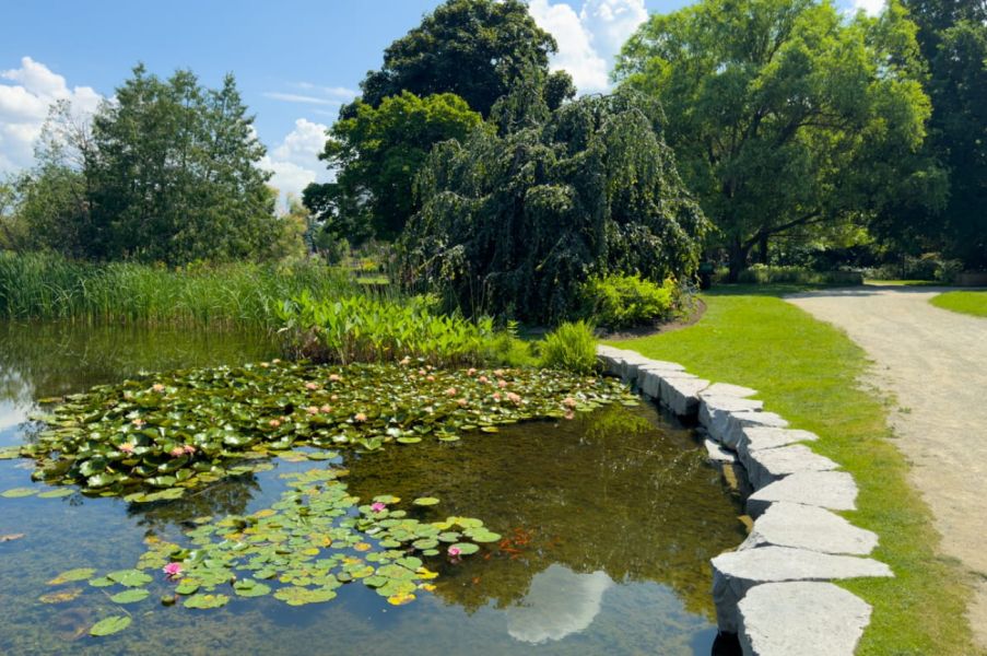 Photo of Humber Arboretum