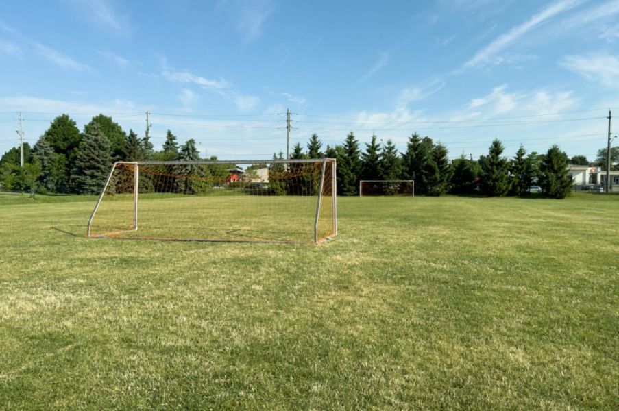Photo of Bill Hancox Park