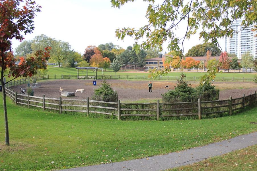 Photo of Stan Wadlow Park