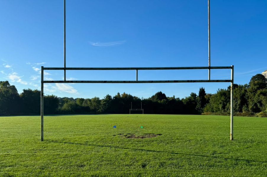 Photo of Finch - Humberline