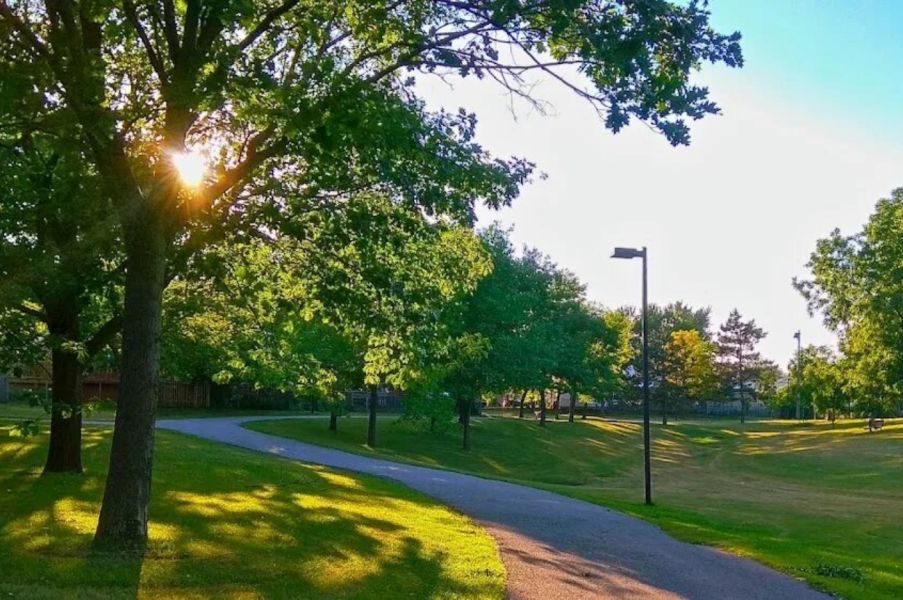 Photo of Audrelane Park