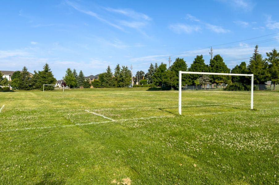Photo of Bill Hancox Park