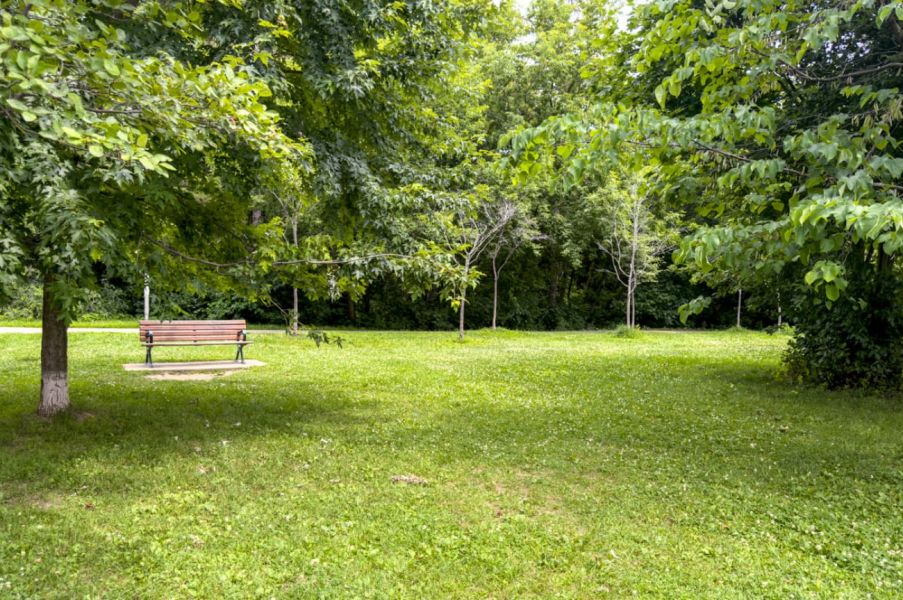 Photo of Lithuania Park