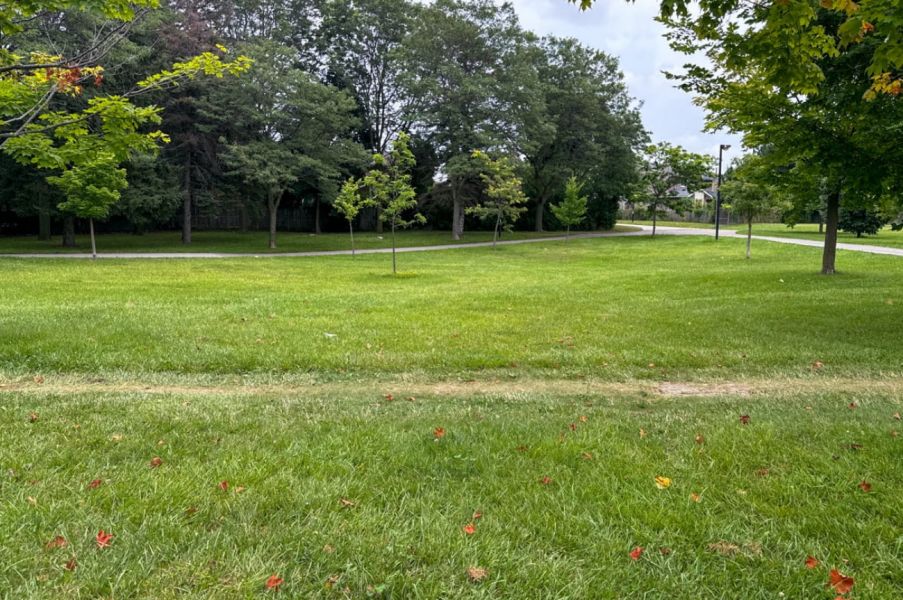 Photo of Fundy Bay Park