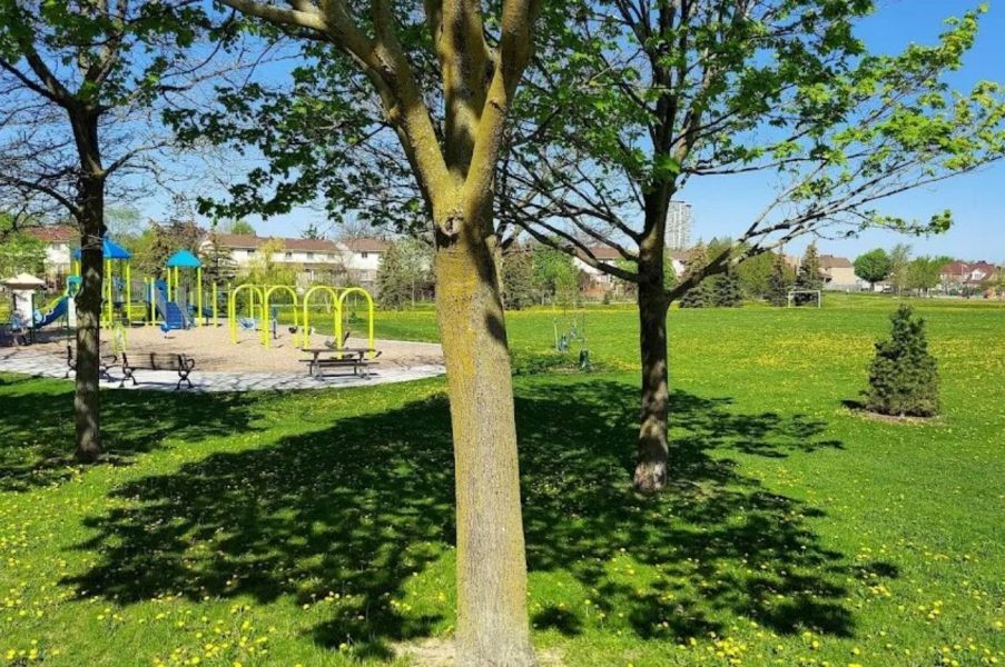 Photo of Audrelane Park