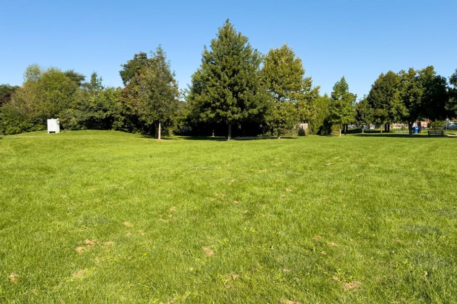 Photo of Ancaster Park