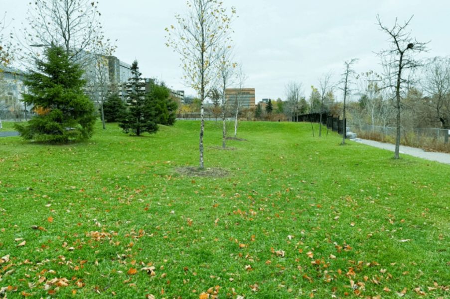 Photo of Ridge Park