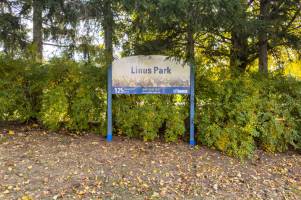 Photo of Linus Park
