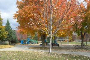 Photo of George Webster Park