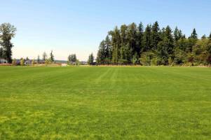 Photo of Edgewood Park