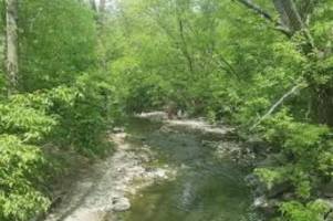 Photo of Trethewey Park West