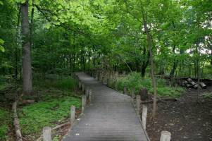 Photo of Humber Arboretum