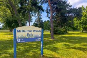 Photo of McDairmid Woods Park