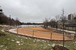 Photo of Eglinton Park