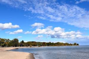 Photo of Woodbine Park