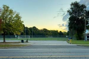 Photo of Moatfield Farm Park
