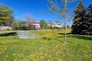 Photo of Audrelane Park